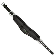 Load image into Gallery viewer, Safewaze PRO Waist Pad & Belt (Body Belt) FS2011